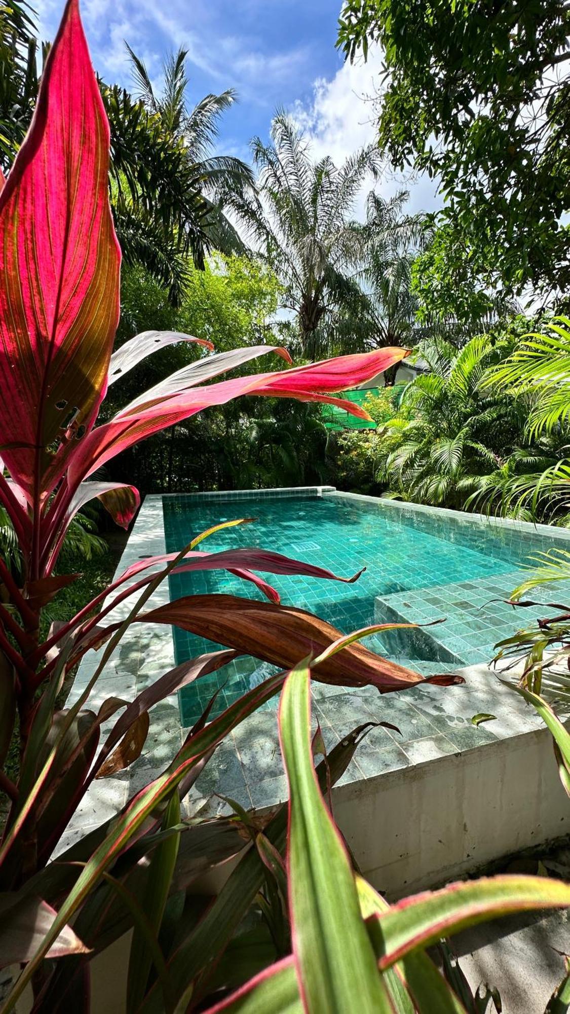 Salad Beach Guest House Ko Pha Ngan Exterior photo