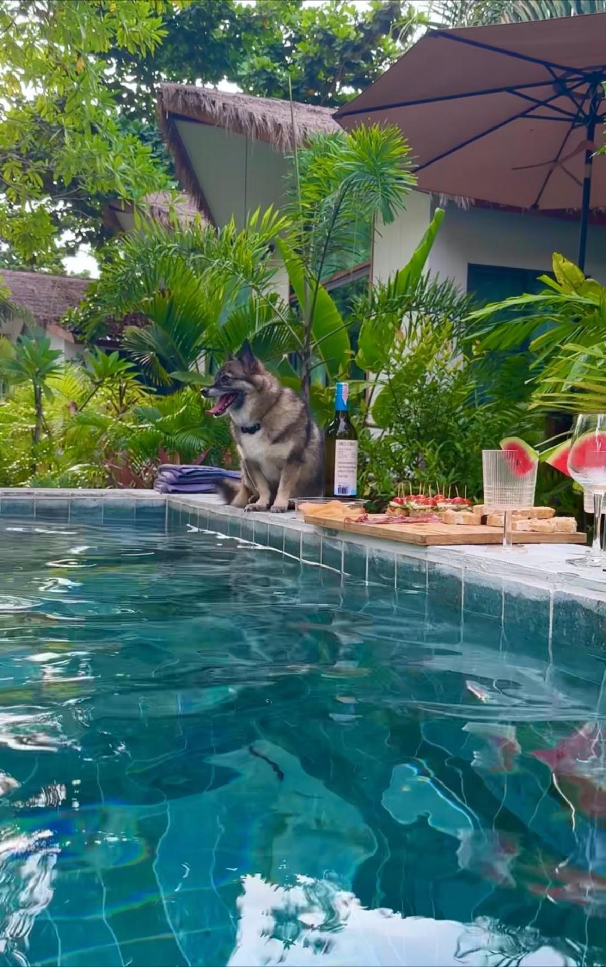 Salad Beach Guest House Ko Pha Ngan Exterior photo